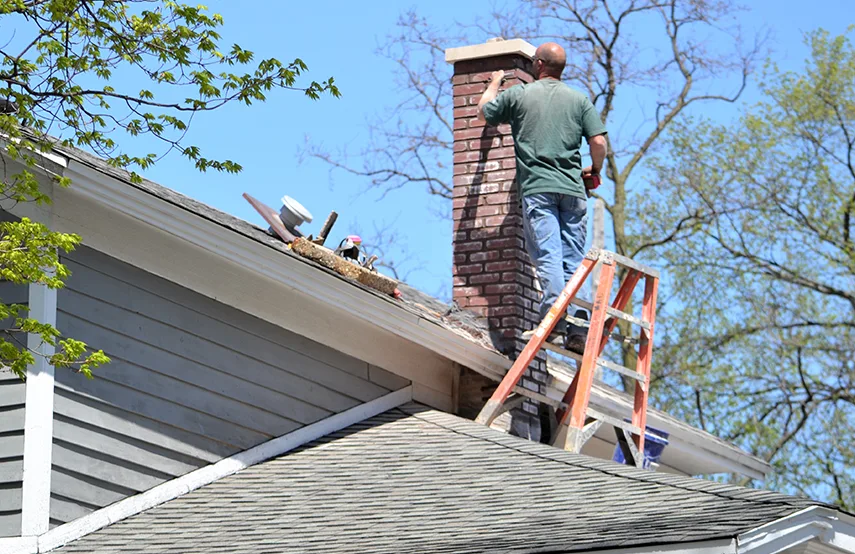 Chimney & Fireplace Inspections Services in Ocoee, FL